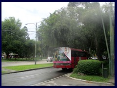 Zona Viva - Avenida La Reforma